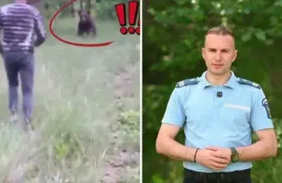 Bărbat din Vâlcea filmat când aleargă un urs cu lopata. Ce avertisment dă Jandarmeria