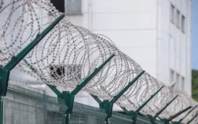 Austria elibereaza 500 de detinuti inainte de termen. Masura se aplica fara supraveghere judiciara
