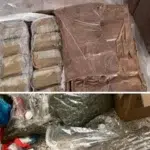 Europol opreste o retea care trimitea canabis prin curier. 10 suspecti arestati in Spania si Franta