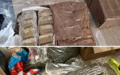 Europol opreste o retea care trimitea canabis prin curier. 10 suspecti arestati in Spania si Franta