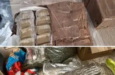 Europol opreste o retea care trimitea canabis prin curier. 10 suspecti arestati in Spania si Franta