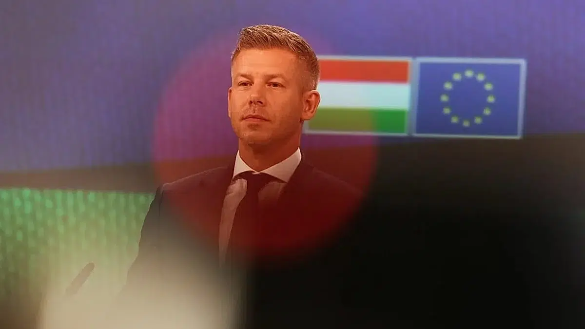 Peter Magyar fonduri UE