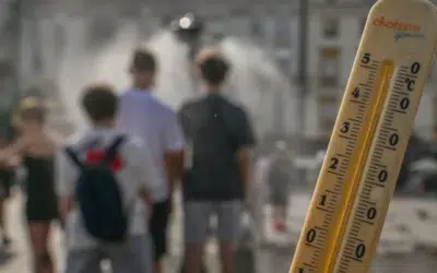 Temperaturile sar de 40 de grade. Climatologul ANM Roxana Bojariu anunta noi valuri de caldura