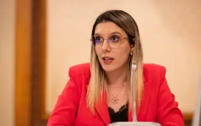 Noua camere care monitorizeaza transportul de lemn au fost distruse. Ministerul face plangere penala