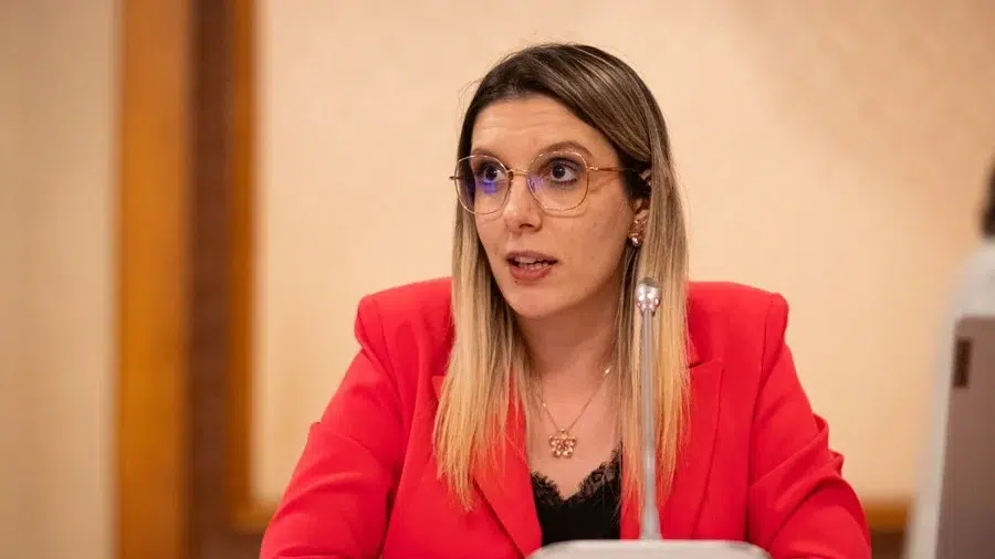 camere monitorizare lemn vandalizate