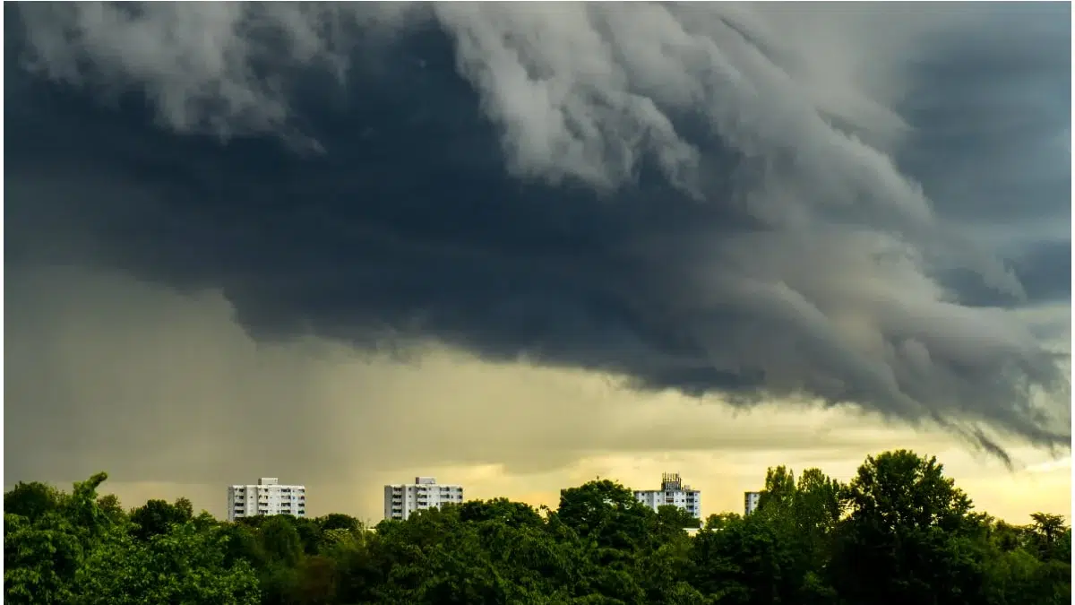 canicula prognoza meteo