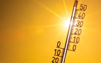 Primul cod galben de canicula din 2026 aduce temperaturi de 36 de grade. ANM anunta zonele afectate