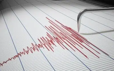 Cutremur de 3,1 grade in zona Vrancea. Al treilea seism din ultimele zile