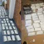 Captura de peste 100 de kilograme de droguri in Serbia. Politia a retinut doi suspecti