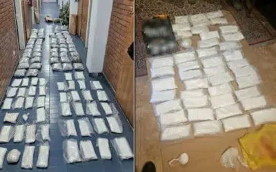 Captura de peste 100 de kilograme de droguri in Serbia. Politia a retinut doi suspecti