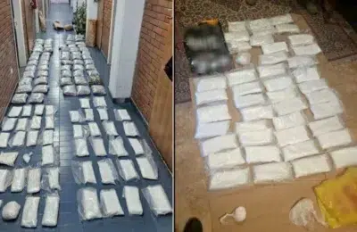 Captura de peste 100 de kilograme de droguri in Serbia. Politia a retinut doi suspecti