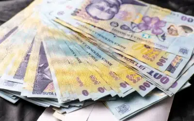 Fraude de 1,3 milioane lei cu indemnizatii de maternitate in Maramures. Trei persoane retinute