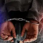 Bărbat arestat după ce a încercat să răpeasc fiul unor politisti. Incident la o scoala din Alesd