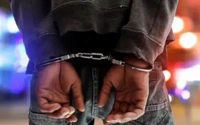 Bărbat arestat după ce a încercat să răpeasc fiul unor politisti. Incident la o scoala din Alesd