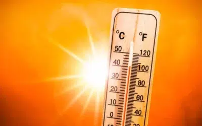 16 judete intra sub cod rosu de canicula. ANM anunta furtuni si temperaturi de 37 de grade