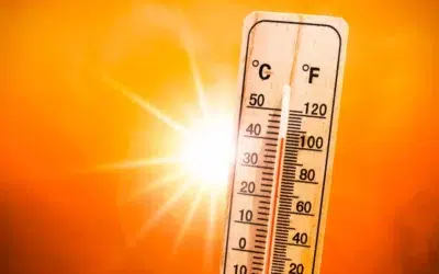 Valul de caldura revine in Romania. ANM anunta temperaturi de 39 de grade pana pe 9 august