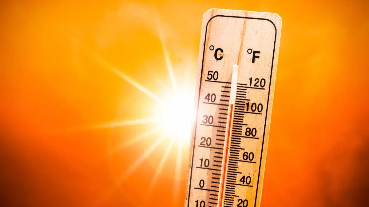 ANM canicula prognoza meteo