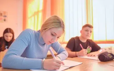 Aproape 131.000 de elevi sustin proba la alegere a Bacalaureatului. Ministerul anunta regulile