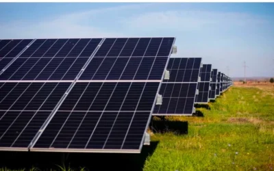 CE Oltenia si Tinmar Energy investesc 700 milioane de euro in Gorj. Constructorul a fost desemnat