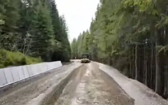 DN7A