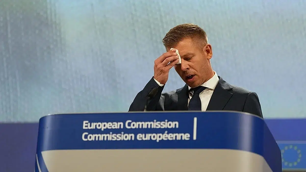 Peter Magyar amenzi migratie