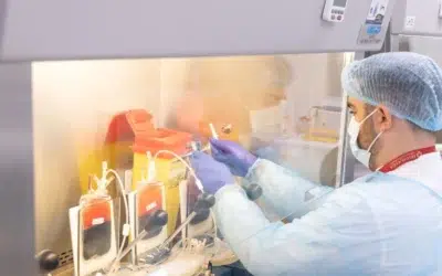 Regina Maria obtine autorizatia ANMDMR. Prima banca de celule stem care fabrica medicamente