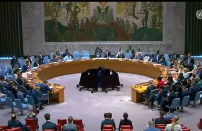 SUA parasesc o sedinta a Consiliului de Securitate ONU. Romania voteaza alaturi de UE