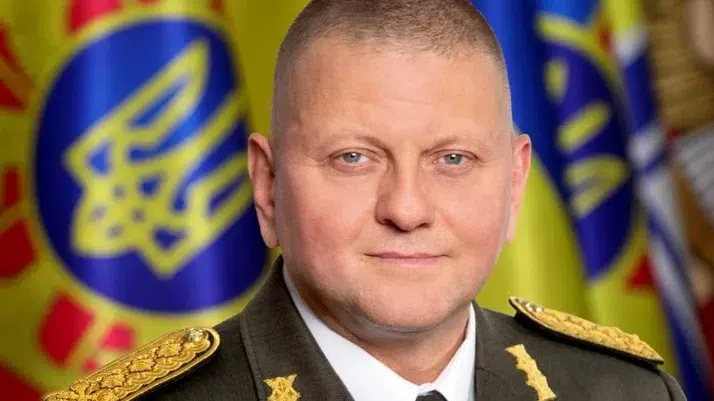 Valerii Zalujnîi alegeri presedintie