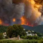 Canicula din Europa provoaca peste 10000 de decese. Incendiile distrug 160000 de hectare