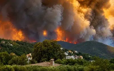 Canicula din Europa provoaca peste 10000 de decese. Incendiile distrug 160000 de hectare