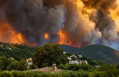 Canicula din Europa provoaca peste 10000 de decese. Incendiile distrug 160000 de hectare