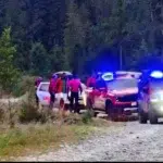 Cioban de 47 de ani atacat de urs in masivul Iezer Papusa. Victima a ajuns la spital