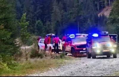 Cioban de 47 de ani atacat de urs in masivul Iezer Papusa. Victima a ajuns la spital