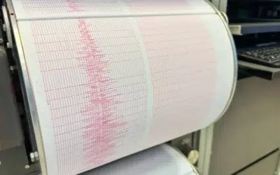 INCDFP anunta un cutremur de 3,4 in judetul Vrancea. Al optulea seism inregistrat in luna iulie