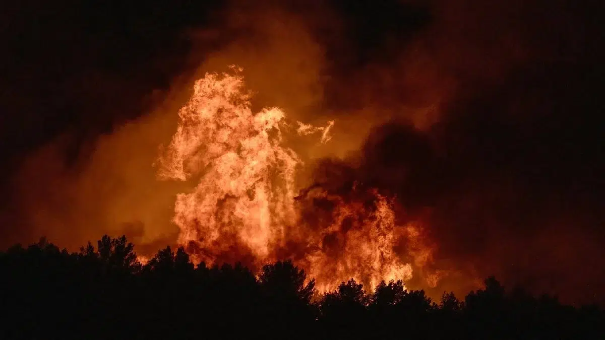 incendii Franta