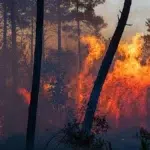 Spania declara stare de urgenta din cauza incendiilor. Peste 20.000 de francezi sunt evacuati