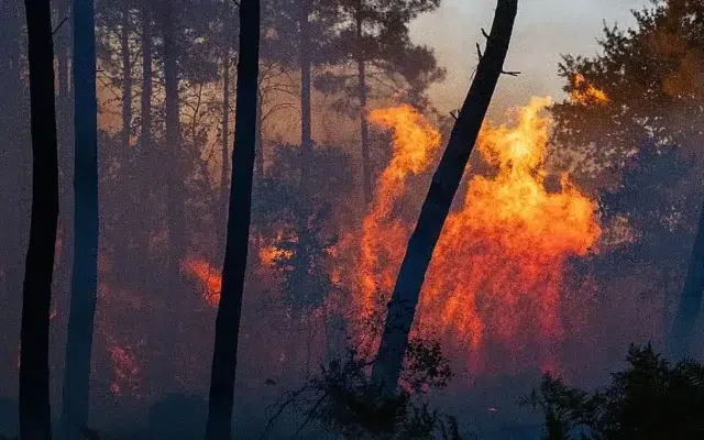 incendii Spania Franta