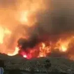 11 cetateni straini mor in flacari langa Almeria. Autoritatile cauta 19 persoane disparute