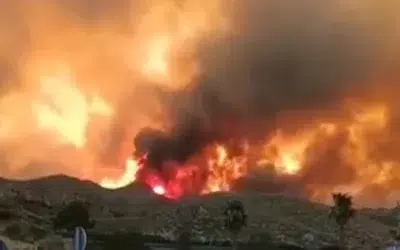 11 cetateni straini mor in flacari langa Almeria. Autoritatile cauta 19 persoane disparute