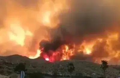 11 cetateni straini mor in flacari langa Almeria. Autoritatile cauta 19 persoane disparute