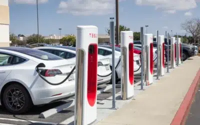 Inmatricularile de masini noi cresc cu 53% in iunie. Tesla Model Y conduce topul electricelor