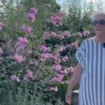 Doi pensionari risca o amenda de 953 de lire. Au plantat flori pe spatiul verde