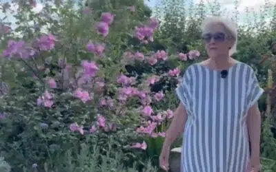 Doi pensionari risca o amenda de 953 de lire. Au plantat flori pe spatiul verde