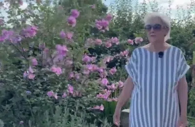 Doi pensionari risca o amenda de 953 de lire. Au plantat flori pe spatiul verde