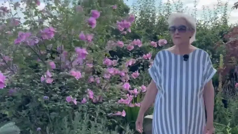 pensionari amenda plante spatiu verde