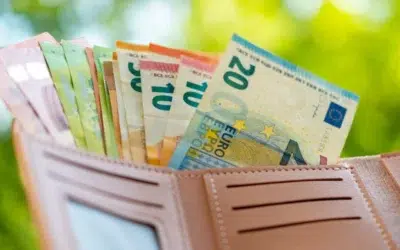 Europa are nevoie de 70 de miliarde de euro anual pentru adaptarea la canicula. Preturile cresc
