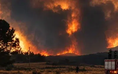 Pompierii români intervin la incendiile din Franța. 10.000 de persoane au fost evacuate