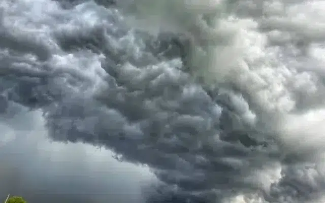 ANM temperaturi vijelii