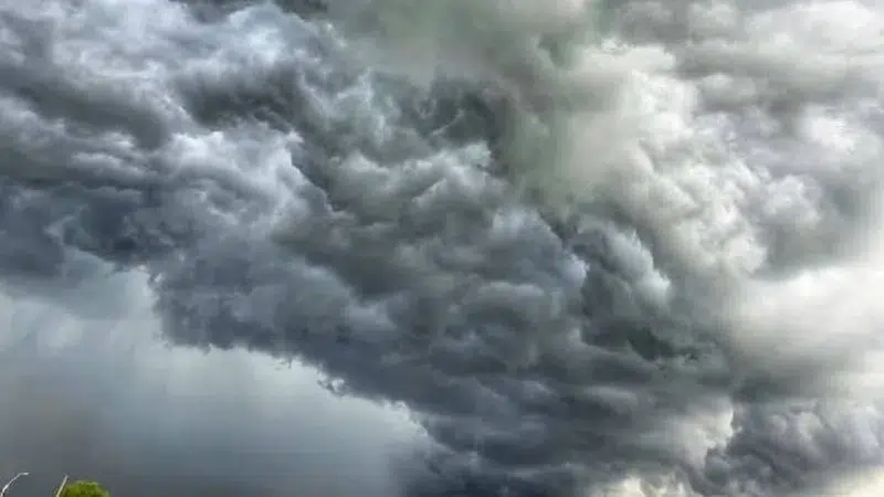 ANM temperaturi vijelii