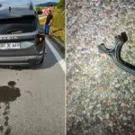 Motor spart la o Dacia Bigster Hybrid la doar 12.580 kilometri. Ce a patit o soferita in Croatia